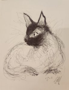 GATO (MARTINEZ)