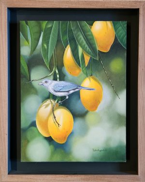 AVE CON MANGOS (ARGUELLO)