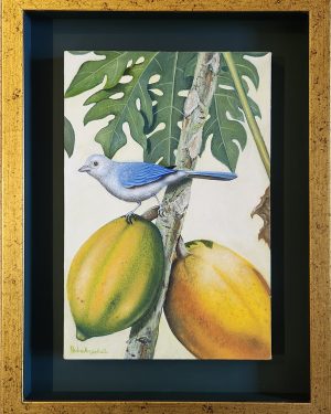 SERIE DE LOS PAJAROS (ARGUELLO)