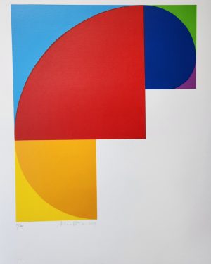 SIN TITULO (PETICOV)