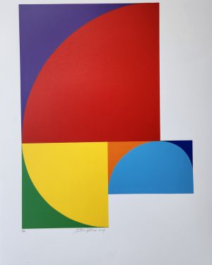 SIN TITULO (PETICOV)