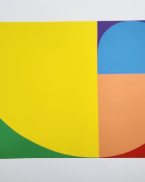 SIN TITULO (PETICOV)