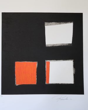 SIN TITULO (ROSOLEN)