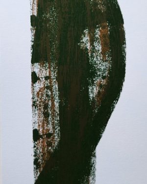 SIN TITULO (ROSOLEN)