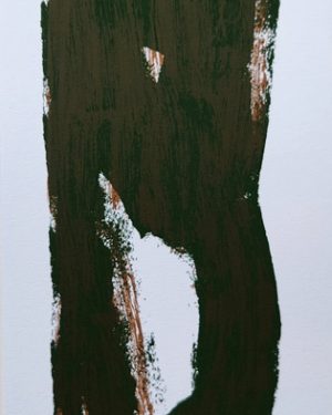 SIN TITULO (ROSOLEN)