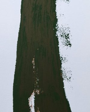 SIN TITULO (ROSOLEN)