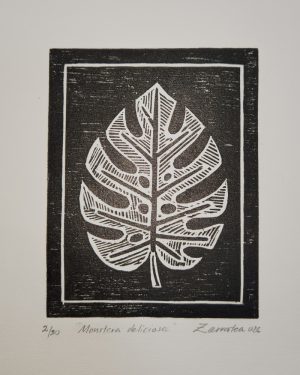 MONSTERA DELICIOSA (ZARRATEA)