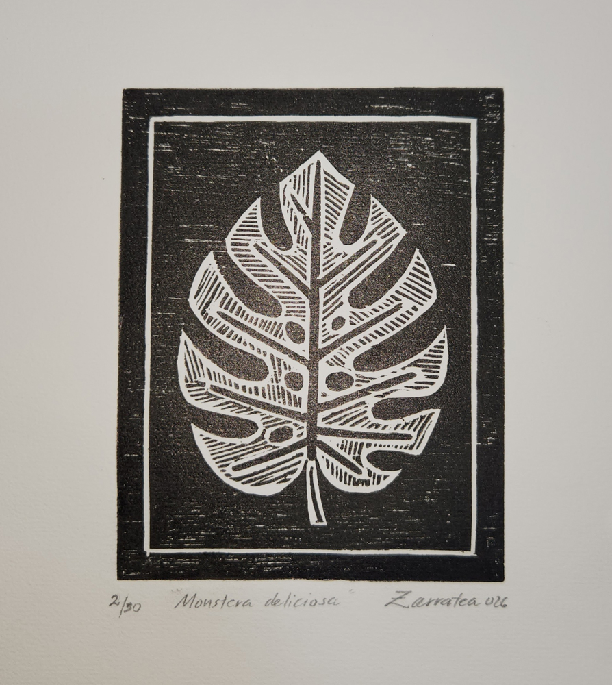 MONSTERA DELICIOSA (ZARRATEA)