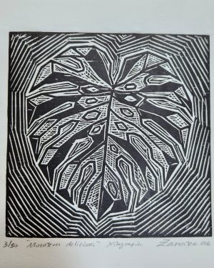 MONSTERA DELICIOSA (ZARRATEA)
